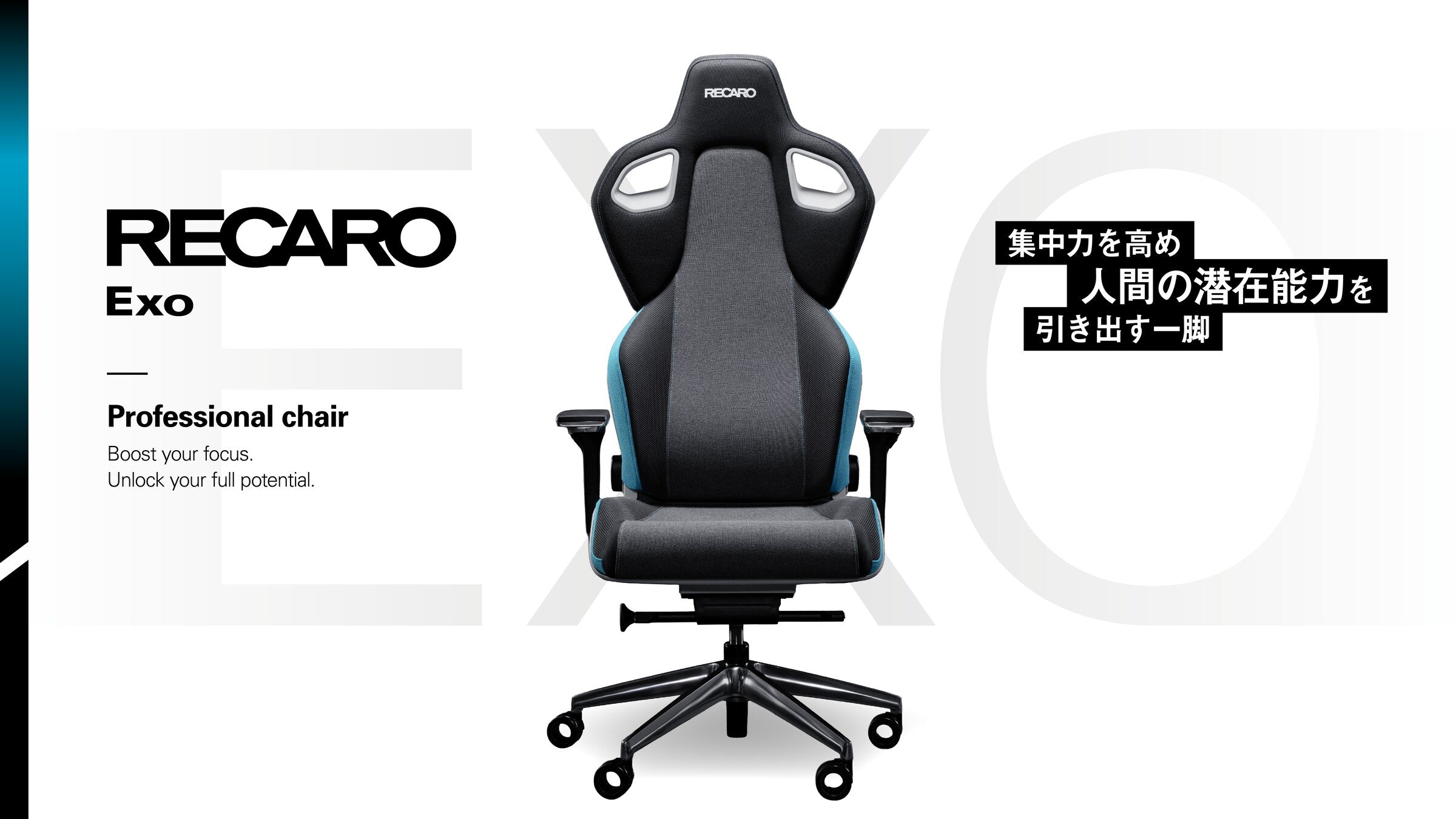RECARO Exo Platinum Black & Black